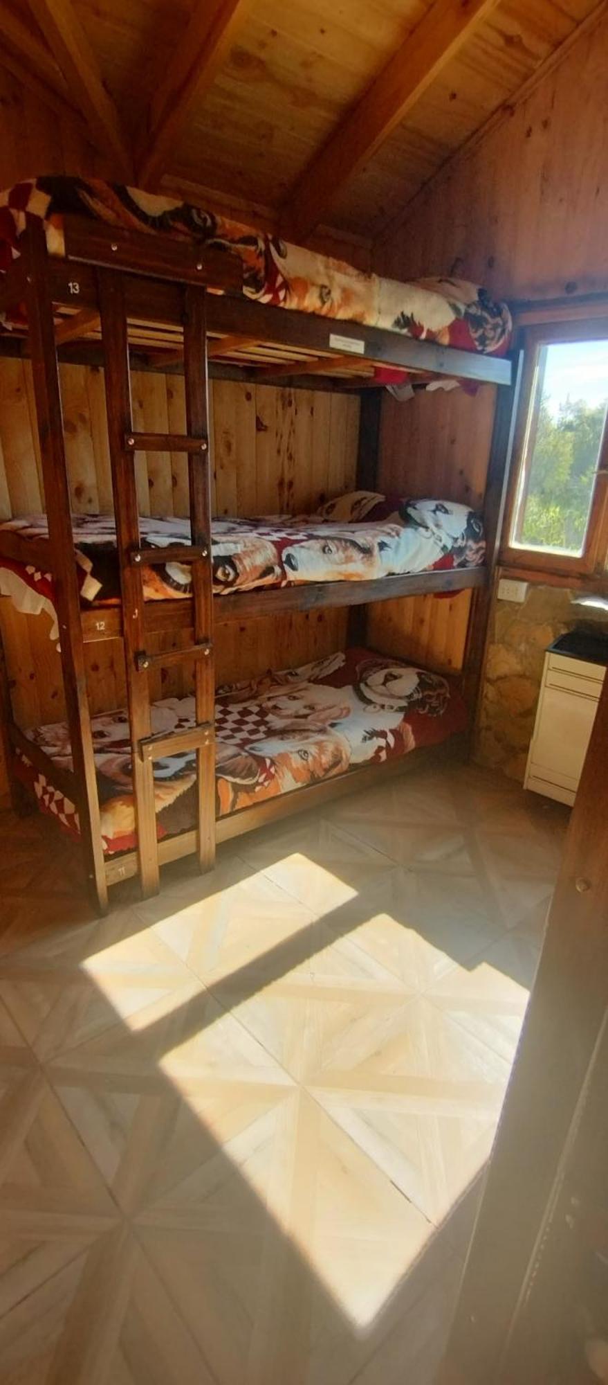 Hostel Andino Villa Pehuenia Extérieur photo