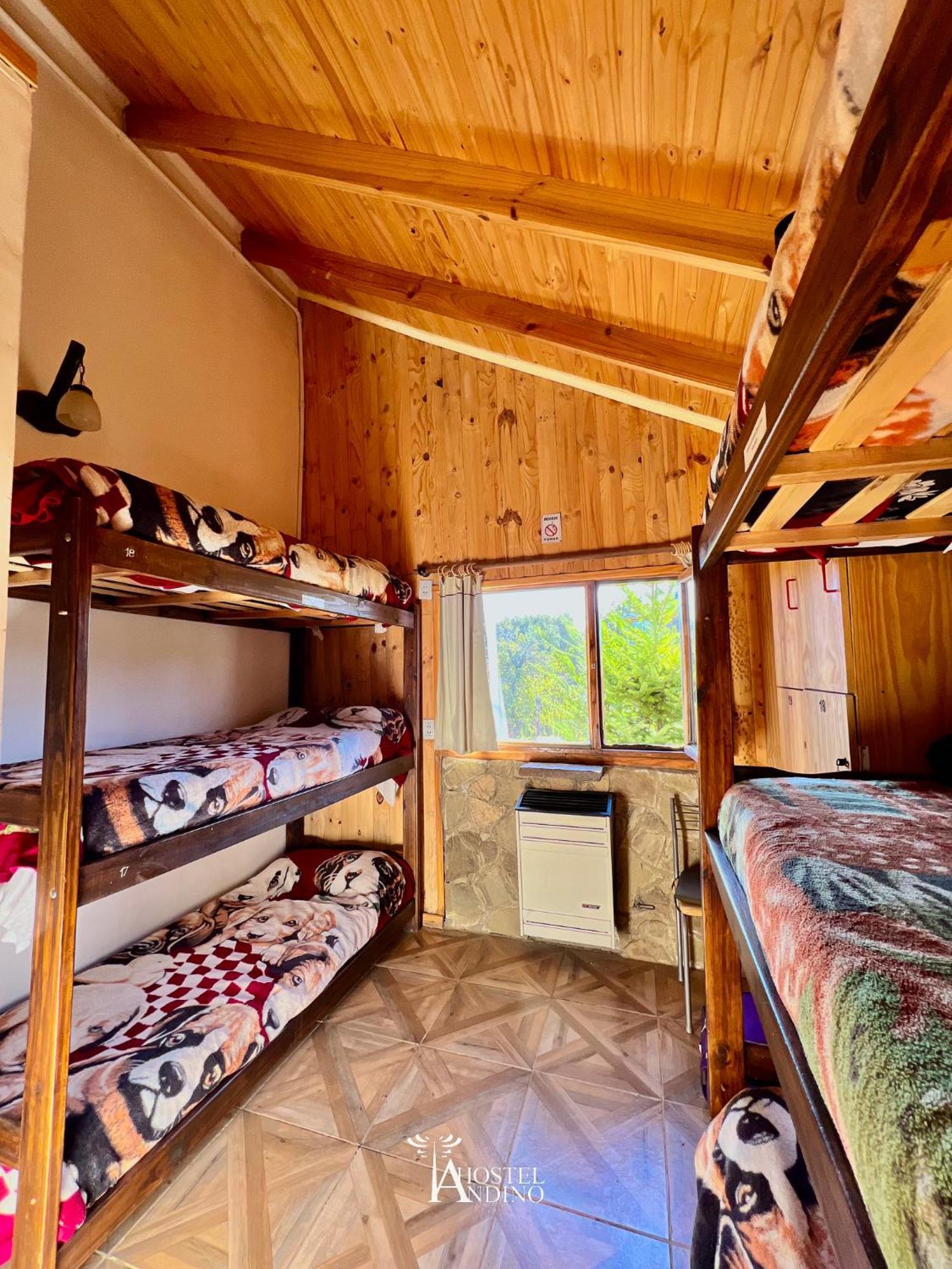 Hostel Andino Villa Pehuenia Extérieur photo