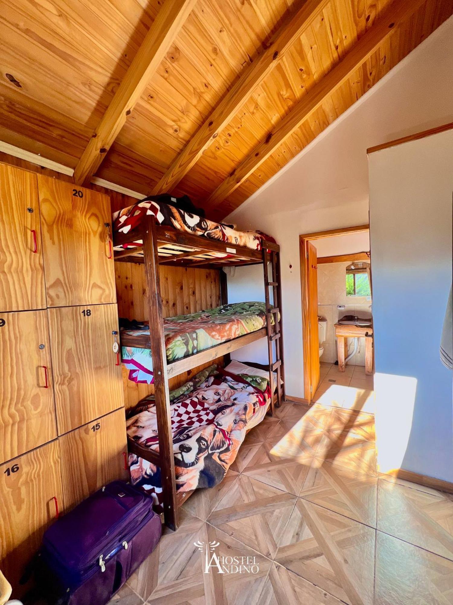 Hostel Andino Villa Pehuenia Extérieur photo