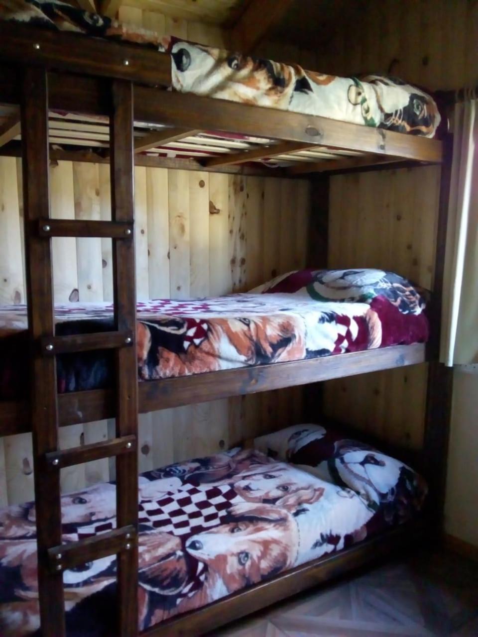 Hostel Andino Villa Pehuenia Extérieur photo